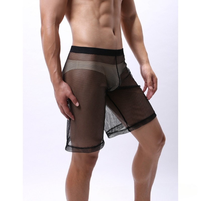 Low Rise Mesh Erotic Underwear - Pouch Boxer Pouch review and price