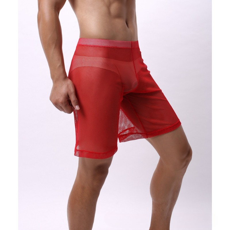 Low Rise Mesh Erotic Underwear - Pouch Boxer Pouch review and price